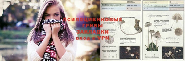эйфоретик Абаза