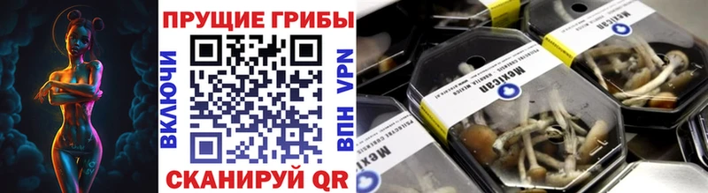Псилоцибиновые грибы мицелий  закладки  Емва 