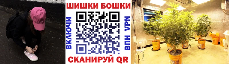 Каннабис Amnesia  наркота  Емва 